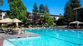 $1200 / 110ft2 - 1B1B in Luxury Apt(找女室友） (sunnyvale) 3