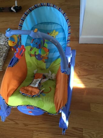 Bouncer chair - newborn to toddler 1