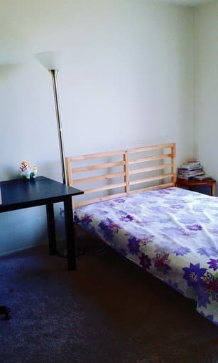 Female only, May 1 available, $1100, 1 bedroom 3
