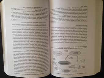 Problem Solving, Decision Making, And Professional Judgement 2