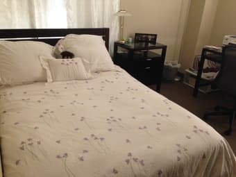 Furnished Summer Sublet in Munger 2
