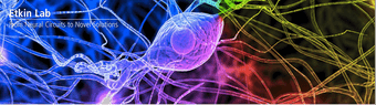 Volunteer research assistant for brain imaging anxiety and depression 1