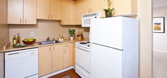 1B/1B available in 2B/2B, Mountain View @$1300/mo, Female Only 2