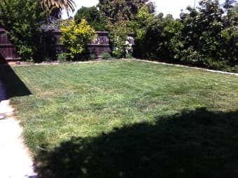 $800 / 150sqft Furnished room in a single house in Menlo Park for rent 1