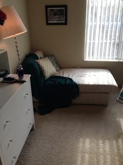 Cream colored chaise lounge: $50 obo 2