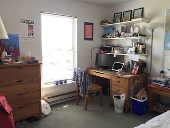 $1,077/month 1BR summer sublet in 4BR Rains, female 1