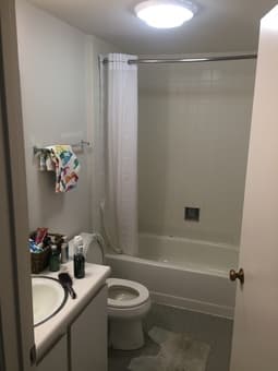 1 bedroom available at Rains Graduate Housing. Very Clean. Great area. 1