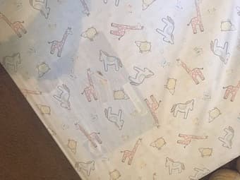 Orbit + Britax Stroller and extra firm crib mattress with bumper 3