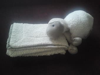 Sherpa 2 Piece Blanket Pillow Set : Sheep - $10 2