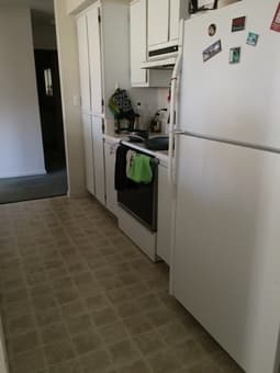JULY/AUGUST Rains female 4bd/2ba + living room & kitchen, $995/MO 2
