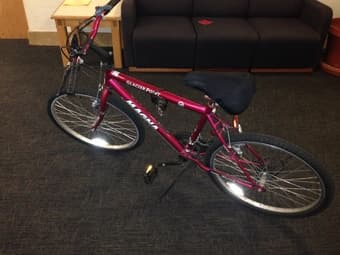 Renting a Bicycle Over the Summer 2