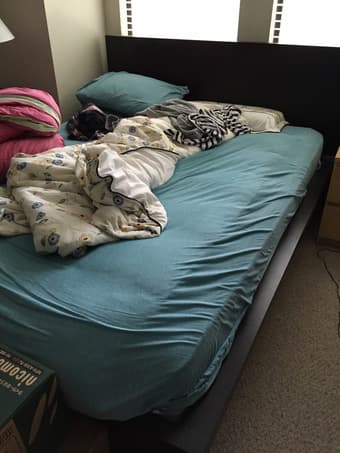 Queen bed frame and/or mattress 1