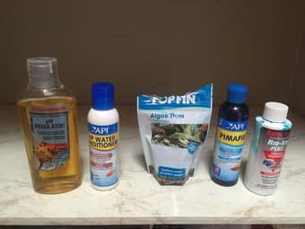 Fluval View 4 gallon fish tank with all accessories 2