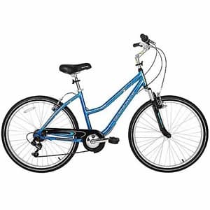 Bicycle for $70, with U-lock 1