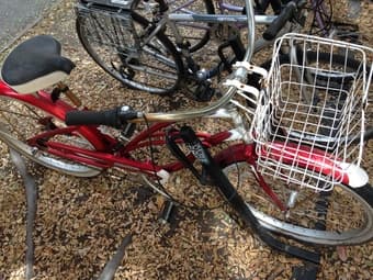 Cruiser (Electra) and Hybrid Bikes, Take Either ($200 each OBO) 1