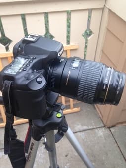 EOS 40D and canon EF 75-300mm lens 1