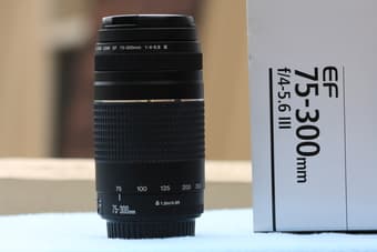 EOS 40D and canon EF 75-300mm lens 3