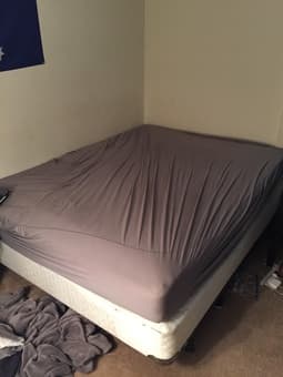 IKEA Queen Foam Mattress, Sealy Posturepedic Box Spring, Frame- $150 1