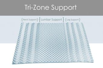 $100 - DreamFoam Mattress (for comfortability & good back support) 2