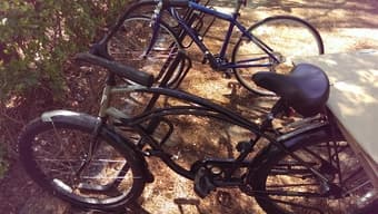 Cruiser Bike 1