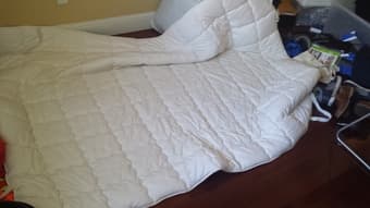 Queen Sized Mattress Pad $50 1