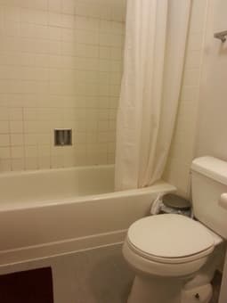 Room in Rains 2