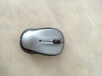 Apple Thunderbolt Cable + Logitech Wireless USB Mouse 2