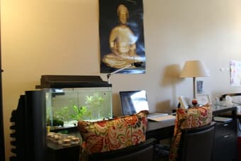 On Campus - Premium Studio (July/August) 3