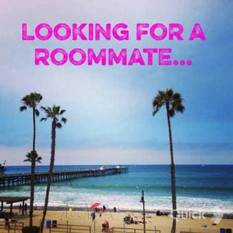 $1300 Looking for a 24-30 year old female roommate! Palo Alto, RWC, MV 1