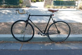 Bianchi with custom details -MOVING SALE $650 1