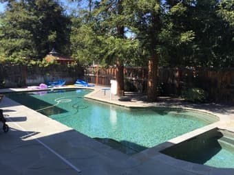Private Room in Beautiful Los Alto, Flexible Dates, NAME YOUR PRICE 1