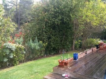 Room available in beautiful Portola Valley house. Available Aug 15 3
