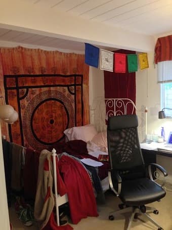 $875 Looking for roommate to join light-filled Palo Alto home 3