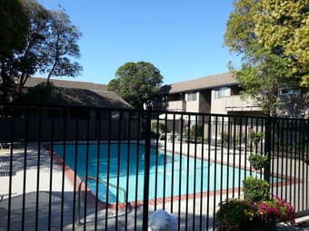 Desirable 1b/1b master bedroom with private full bath (Mountain View) 1