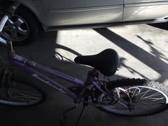 24" female bike 1