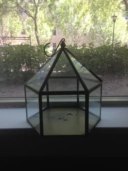 Urban Outfitters Terrarium! $15 OBO 1