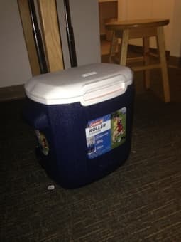 Cooler, like new helmet, new cup holder for bike, and terrarium! <15 3