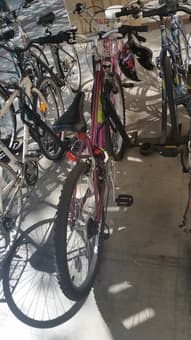100 dollars！！brand new bike for sale, extremely cheap! 自行车跳楼价大甩卖！ 1