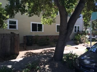 Conveniently located Palo Alto 1bd, Sept 8 - Sept 14, $50/day 1