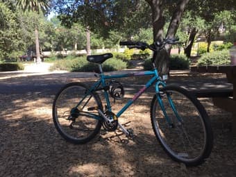 Used women's bike for sale / 195 obo + FREE Lock & Light 1