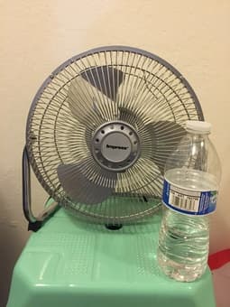Moving sale: useful and exquisite fan -$15 2