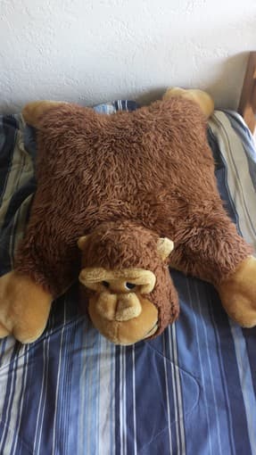 Monkey Pillow $4 1