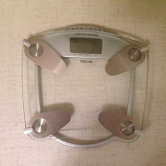 Taylor Scale for $12.00 1