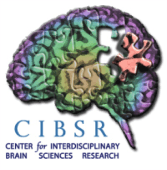 Looking for participants for brain imaging and driving experiment 1