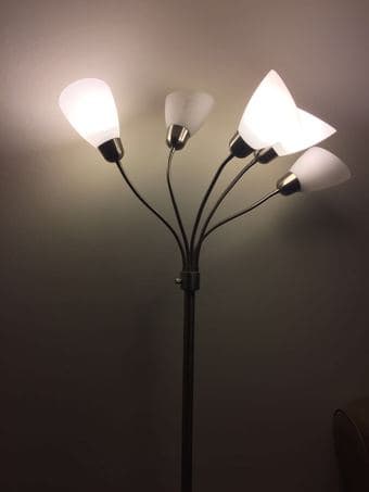 5-Light Floor Lamp (with 5 bulbs) -$35 2