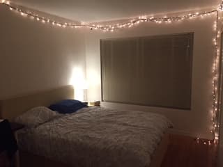 1 bd in a nice 2 bd apt 1