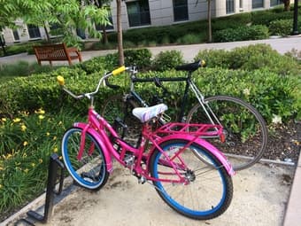 24" Womens Cruiser Bike 1
