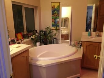 Sunny & Spacious 500 sq. ft. Master Bedroom w/ Walk-in Closet—$1400 3