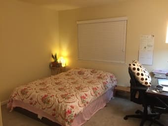 $2765, 1br/1ba, 715 ft2 apartment in Sunnyvale; available in mid Nov 3