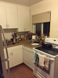 1 bd in a nice 3 bd apartment $1600 3